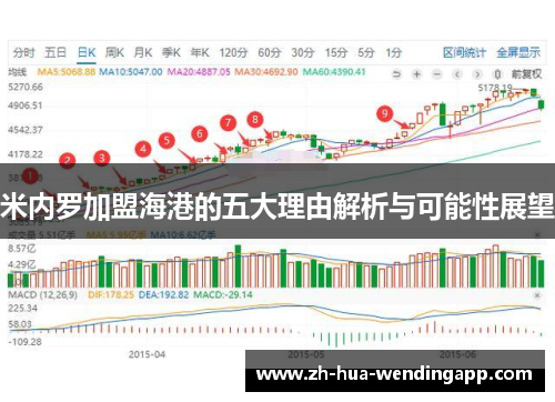 米内罗加盟海港的五大理由解析与可能性展望